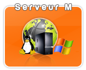 Serveur Dédié M